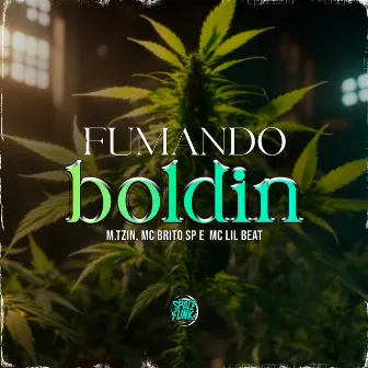 Fumando Boldin by M.tzin