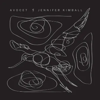 Avocet by Jennifer Kimball