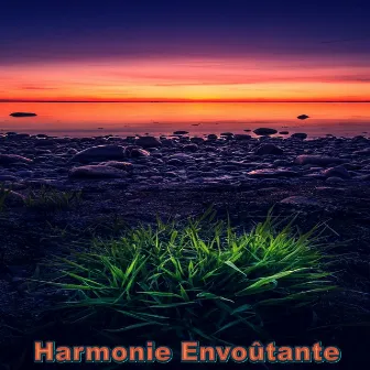 Harmonie envoûtante by My Beats The Rap