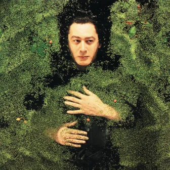 Fantaisie Militaire by Alain Bashung