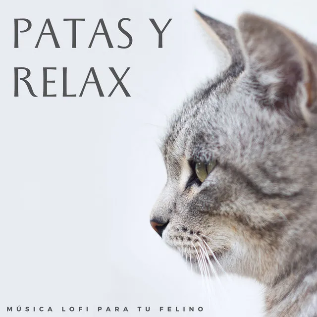 Patas Y Relax: Música Lofi Para Tu Felino