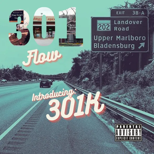 301 Flow