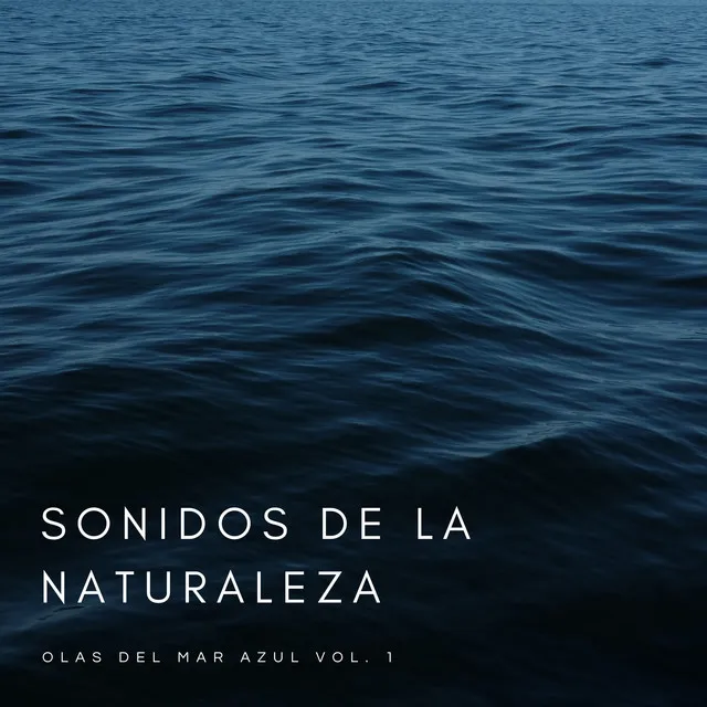 Sonidos De La Naturaleza: Olas Del Mar Azul Vol. 1