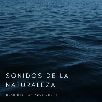 Sonidos De La Naturaleza: Olas Del Mar Azul Vol. 1 by Estudiar música para concentrarse