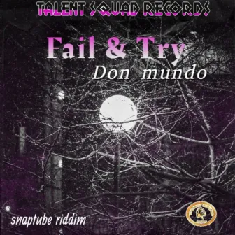 Fail & Try by Don mundo