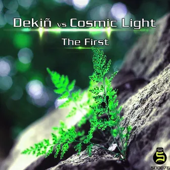 The First by Cosmic Light