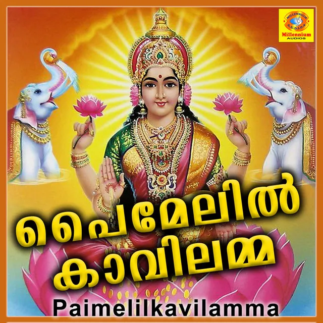 Paimelilkavilamme