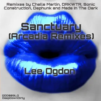 Sanctuary 2017 (Arcadia Remixes) by Lee Ogdon