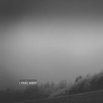 I Feel Grey by Alex Pardini