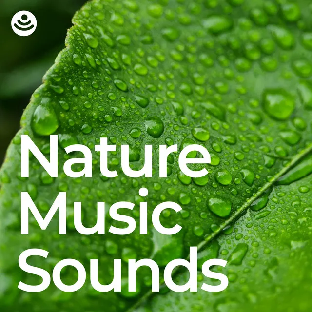 Melodic Nature Sounds - No Fade, Loopable