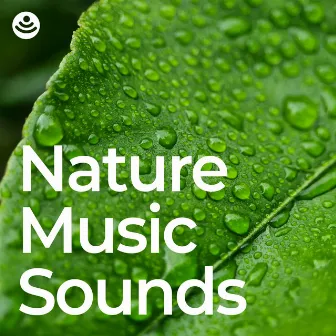 Nature Music Sounds by Portrait of Nature