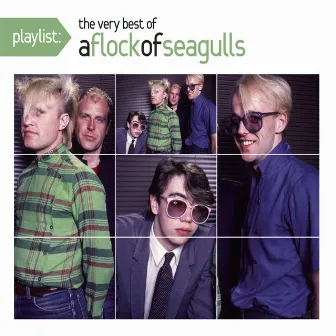 Playlist: The Very Best of A Flock of Seagulls by A Flock Of Seagulls