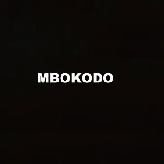 Mbokodo by King Bizza Keys