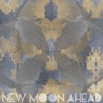 New Moon Ahead by James Quinlan