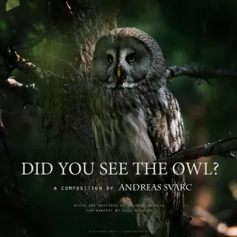 Did You See the Owl? by Andreas Svarc