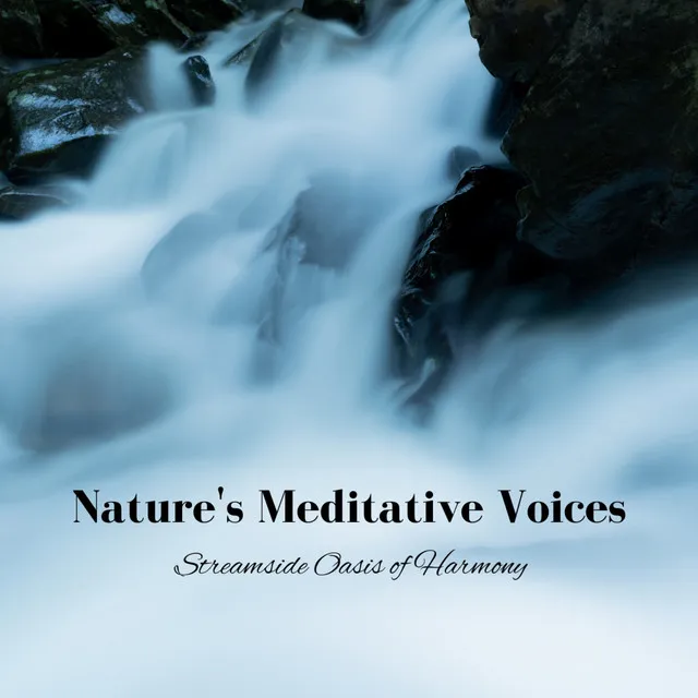 Nature's Meditative Voices: Streamside Oasis of Harmony