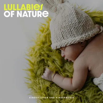 Lullabies of Nature by Unknown Artist