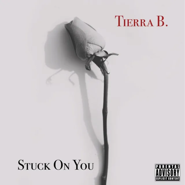 Stuck On You