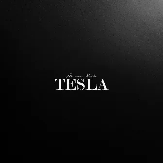 Tesla by Ste van Holm