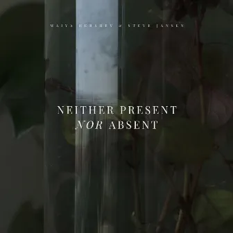 Neither Present Nor Absent by Maiya Hershey