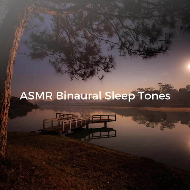 ASMR Binaural Sleep Tones