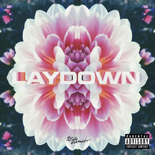 LAYDOWN