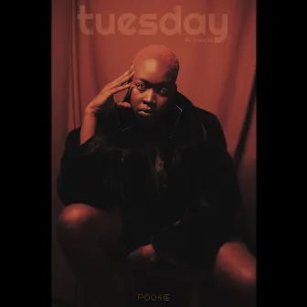 Tuesday by POOKIE