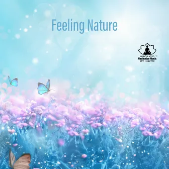 Feeling Nature: Ultra Relaxing Music for Spa, Meditation, Massage or Sleep by Mindfulness Meditation Music Spa Maestro