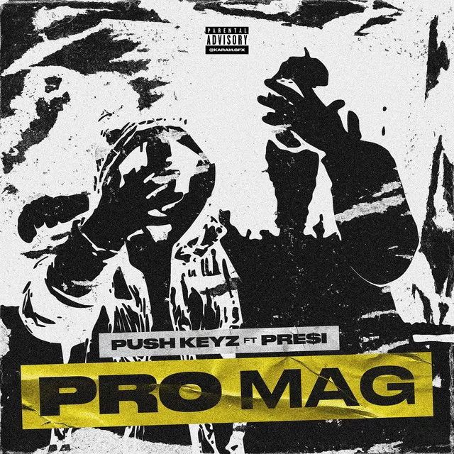 ProMag