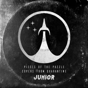 Pieces of the Puzzle (Covers from Quarantine) by Junior