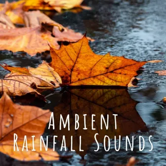 Ambient Rainfall Sounds by Unknown Artist