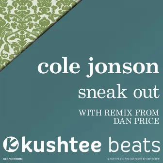 Sneak Out by Cole Jonson