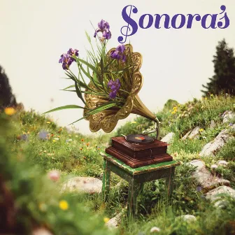 Sonoras by 