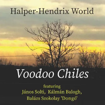 Voodoo Chiles (Instrumental) by László Halper