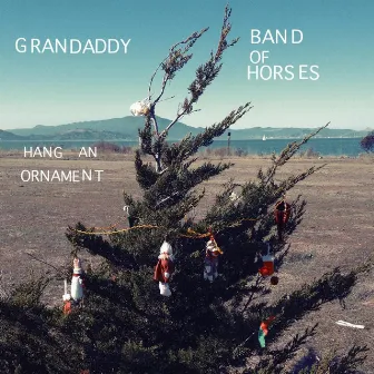 Hang an Ornament by Grandaddy