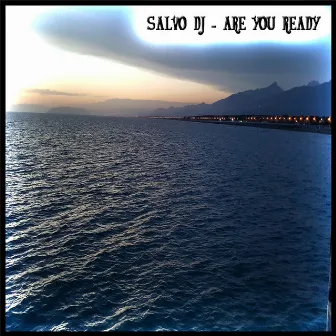 Are You Ready by Salvo D.j.