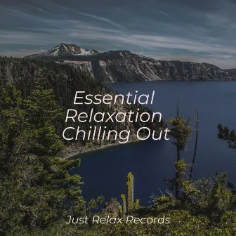 Essential Relaxation Chilling Out by Forest Sounds