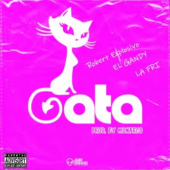 Esa Gata by Robert Explosivo