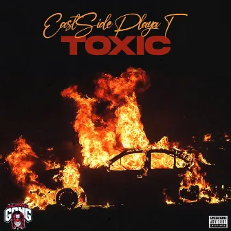 Toxic by Playa T