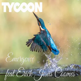 Emergence by Tycoon