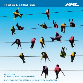 Themes & Variations: Variations by Nineteen British Composers by Jac van Steen