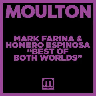 Best Of Both Worlds by Mark Farina