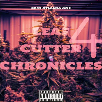 Leaf Cutter Chronicles 4 by East Atlanta ANT