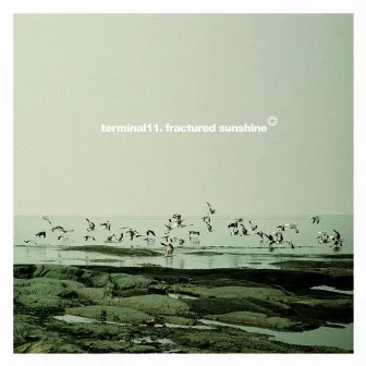 Fractured Sunshine by Terminal 11