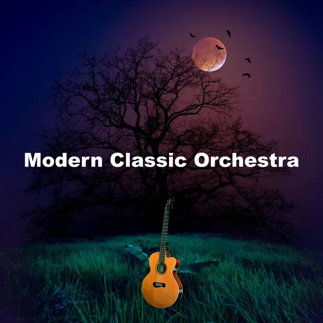 Modern Classic Orchestra