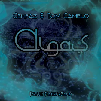 Algas by Tom Camelo