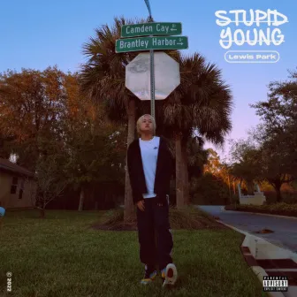 STUPID YOUNG by Lewis Park