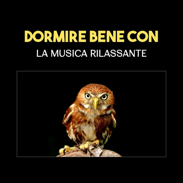 Dormire bene con la musica rilassante (Suoni di natura piena di armonia e calma, Musicoterapia per dormire guai, Cura dell'insonnia)