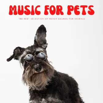 Music For Pets: The Best Selection Of Water Sounds For Animals by XLX Library