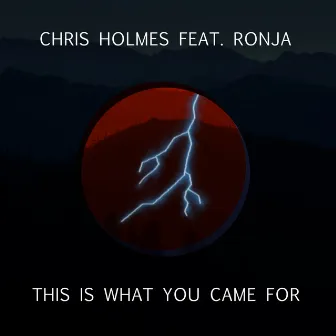 This Is What You Came For by Chris Holmes